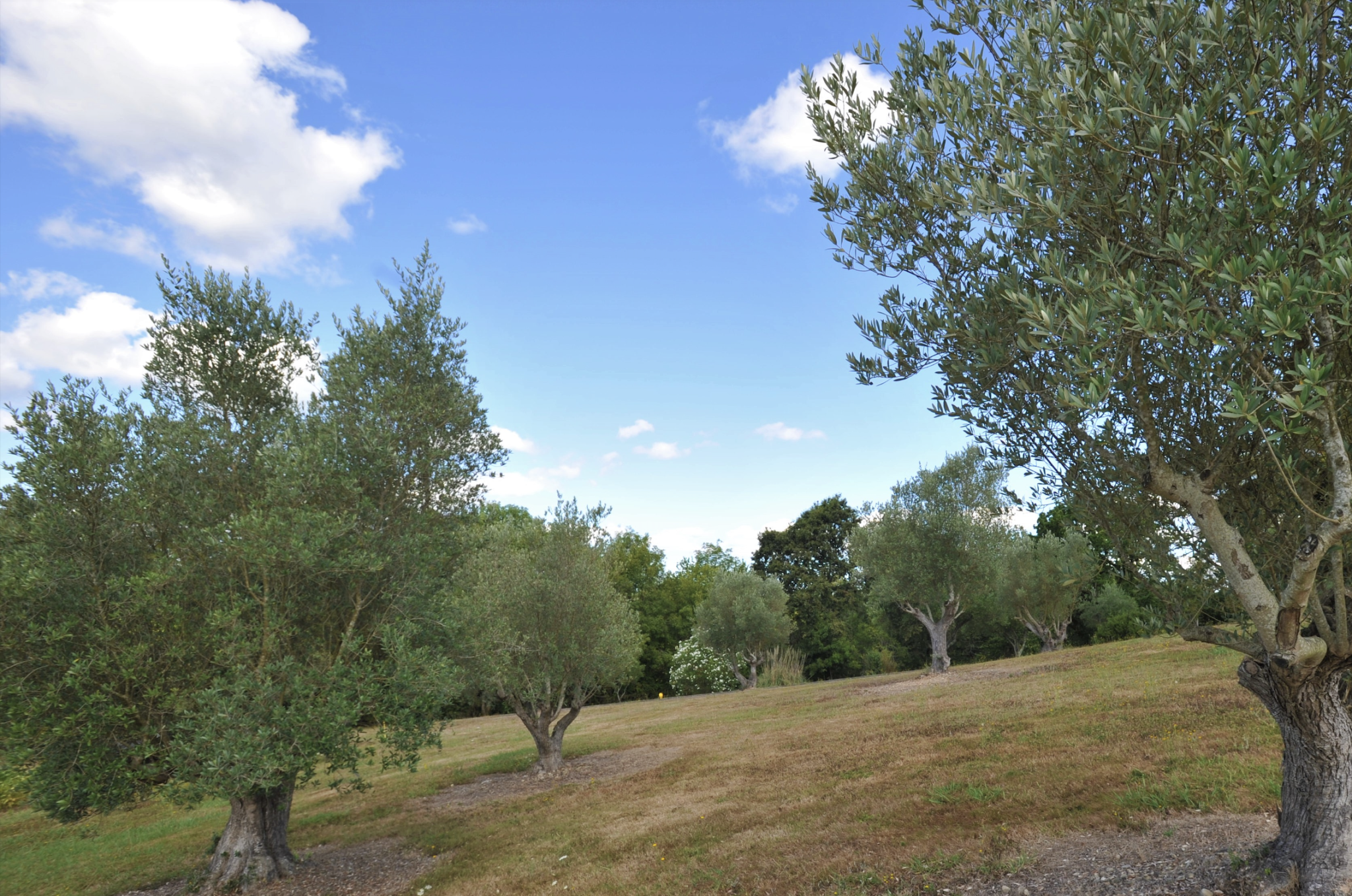 Agence immobilière de Fanny Dupain Immobilier